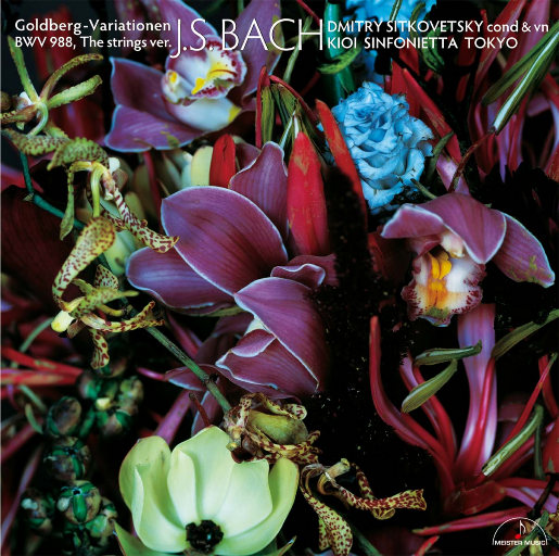 艳妇美足脚交videos最新更新时间
